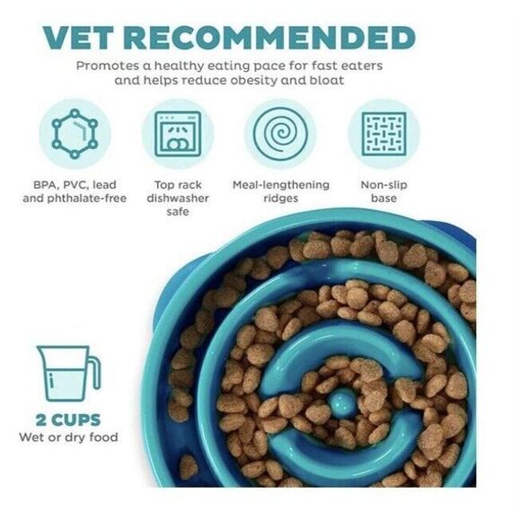 Outward Hound Fun Slow Feeder Dog Bowl Medium Turquoise & Metal Water Bowl - Picture 3 of 5